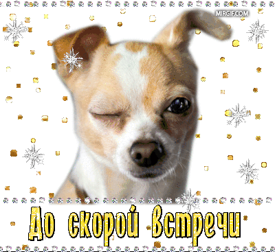 люби меня по хорошему пока прошу открытка. do vstrechi. люби меня по хорошему пока прошу открытка фото. люби меня по хорошему пока прошу открытка-do vstrechi. картинка люби меня по хорошему пока прошу открытка. картинка do vstrechi. Оригинально и прикольно попрощаться с кем-то в соц.сетях можно с помощью красивых изображений или анимаций. Предлагаем вашему вниманию картинки с надписью «Пока! До свидания! До встречи!».