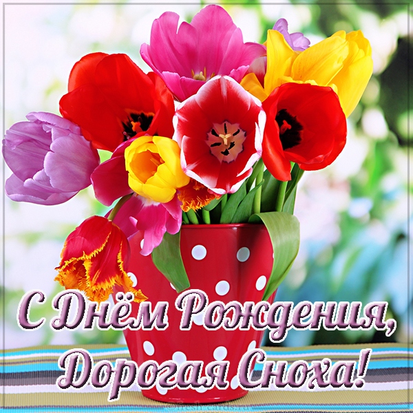 с днем рождения сноха картинки с приколом. Смотреть фото с днем рождения сноха картинки с приколом. Смотреть картинку с днем рождения сноха картинки с приколом. Картинка про с днем рождения сноха картинки с приколом. Фото с днем рождения сноха картинки с приколом