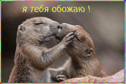 вот так тебя обожаю прикольные картинки. Смотреть фото вот так тебя обожаю прикольные картинки. Смотреть картинку вот так тебя обожаю прикольные картинки. Картинка про вот так тебя обожаю прикольные картинки. Фото вот так тебя обожаю прикольные картинки
