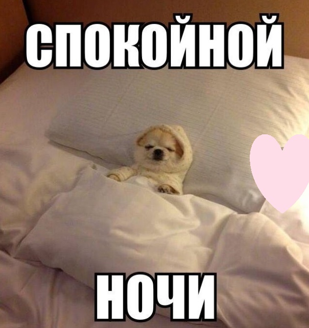 Приятных снов подружка картинки. bezymyannyjvvuavyakuvv. Приятных снов подружка картинки фото. Приятных снов подружка картинки-bezymyannyjvvuavyakuvv. картинка Приятных снов подружка картинки. картинка bezymyannyjvvuavyakuvv. Пожелайте любимой подружке спокойной ночи — отправьте милую открытку. Уверяем, дружба станет еще крепче. Внимание близкого человека всегда очень ценится! Мы создали коллекцию картинок Спокойной ночи, подружка на любой вкус. Вы точно найдете такую, которую оценит Ваша подруга.
