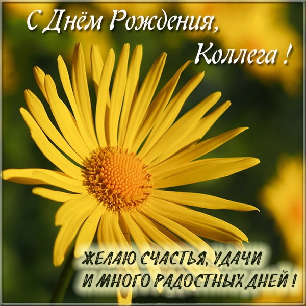 с праздником коллеги картинки. Смотреть фото с праздником коллеги картинки. Смотреть картинку с праздником коллеги картинки. Картинка про с праздником коллеги картинки. Фото с праздником коллеги картинки