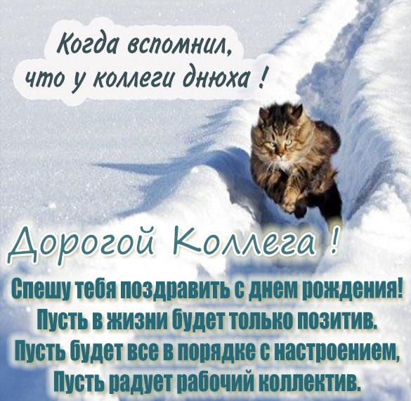 с праздником коллеги картинки. Смотреть фото с праздником коллеги картинки. Смотреть картинку с праздником коллеги картинки. Картинка про с праздником коллеги картинки. Фото с праздником коллеги картинки