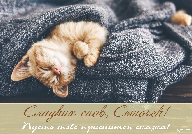 Картинки сладких снов сыночек. Смотреть фото Картинки сладких снов сыночек. Смотреть картинку Картинки сладких снов сыночек. Картинка про Картинки сладких снов сыночек. Фото Картинки сладких снов сыночек