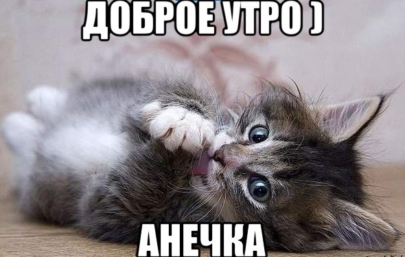 аня хорошего дня и настроения. Смотреть фото аня хорошего дня и настроения. Смотреть картинку аня хорошего дня и настроения. Картинка про аня хорошего дня и настроения. Фото аня хорошего дня и настроения