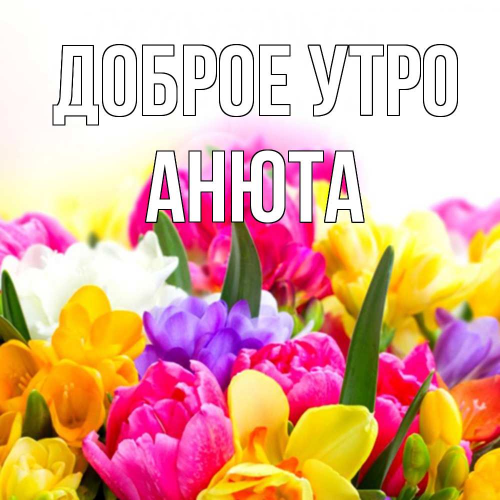 аня хорошего дня и настроения. Смотреть фото аня хорошего дня и настроения. Смотреть картинку аня хорошего дня и настроения. Картинка про аня хорошего дня и настроения. Фото аня хорошего дня и настроения