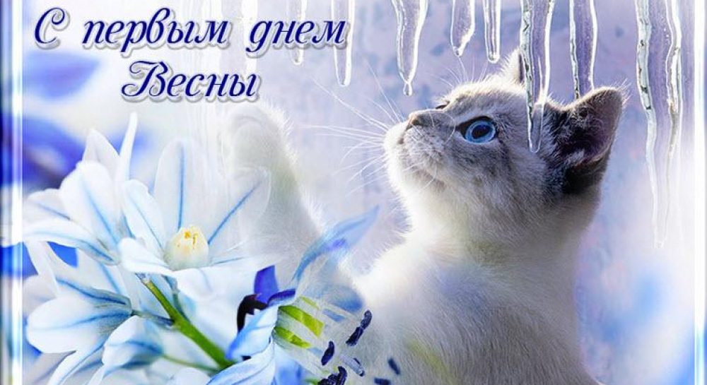 с первым весенним днем красивые картинки. Смотреть фото с первым весенним днем красивые картинки. Смотреть картинку с первым весенним днем красивые картинки. Картинка про с первым весенним днем красивые картинки. Фото с первым весенним днем красивые картинки