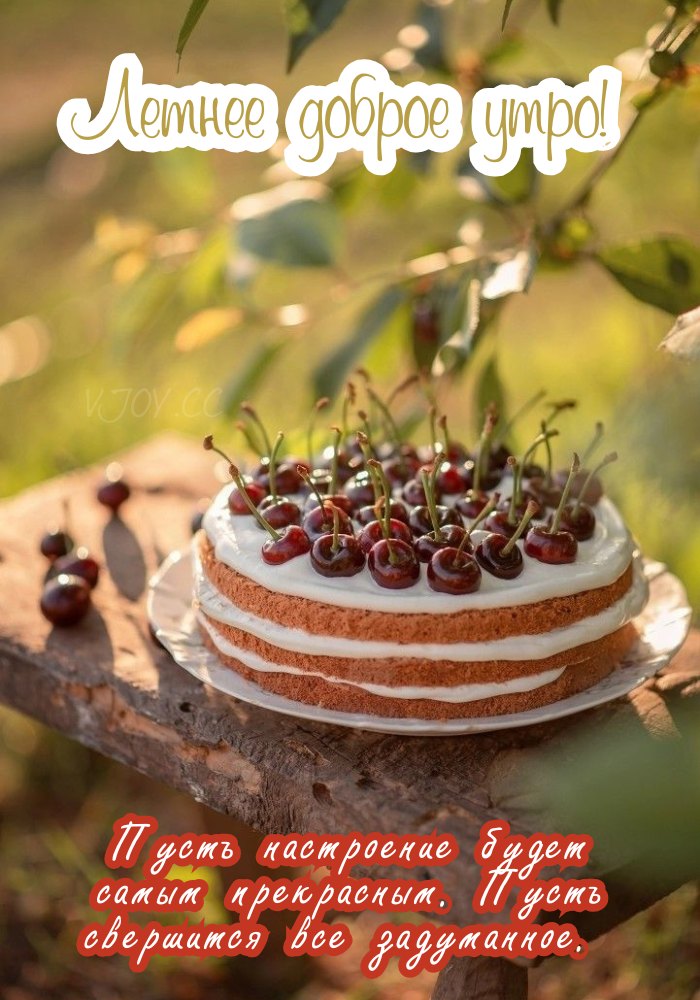 С добрым летним утром! 