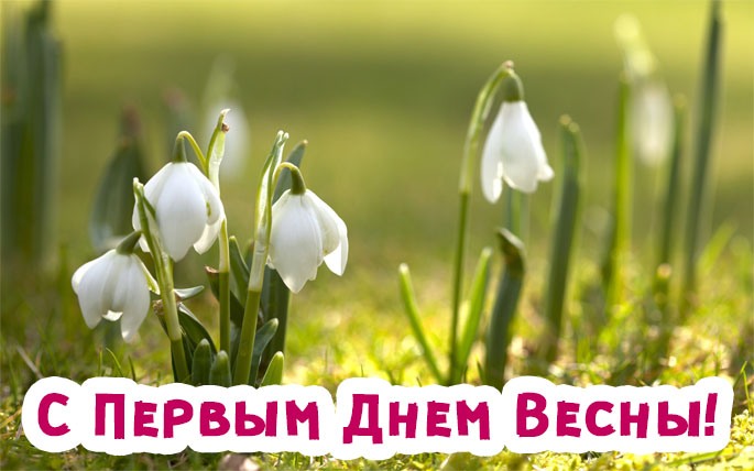 с первым весенним днем красивые картинки. Смотреть фото с первым весенним днем красивые картинки. Смотреть картинку с первым весенним днем красивые картинки. Картинка про с первым весенним днем красивые картинки. Фото с первым весенним днем красивые картинки