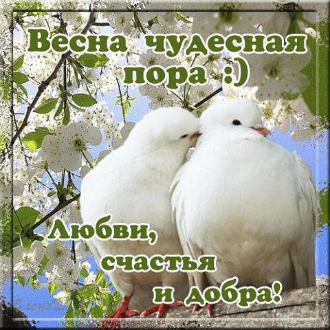 с первым весенним днем красивые картинки. Смотреть фото с первым весенним днем красивые картинки. Смотреть картинку с первым весенним днем красивые картинки. Картинка про с первым весенним днем красивые картинки. Фото с первым весенним днем красивые картинки