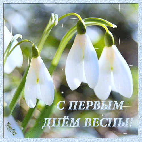 с первым весенним днем красивые картинки. Смотреть фото с первым весенним днем красивые картинки. Смотреть картинку с первым весенним днем красивые картинки. Картинка про с первым весенним днем красивые картинки. Фото с первым весенним днем красивые картинки