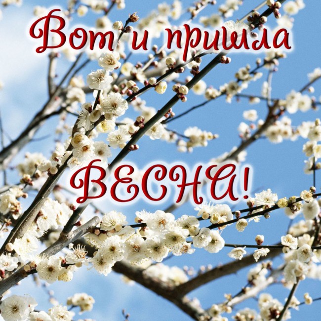 с первым весенним днем красивые картинки. Смотреть фото с первым весенним днем красивые картинки. Смотреть картинку с первым весенним днем красивые картинки. Картинка про с первым весенним днем красивые картинки. Фото с первым весенним днем красивые картинки