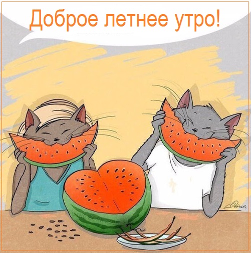 летнее утро завтрак фото. Смотреть фото летнее утро завтрак фото. Смотреть картинку летнее утро завтрак фото. Картинка про летнее утро завтрак фото. Фото летнее утро завтрак фото летнее утро завтрак фото. Смотреть фото летнее утро завтрак фото. Смотреть картинку летнее утро завтрак фото. Картинка про летнее утро завтрак фото. Фото летнее утро завтрак фото