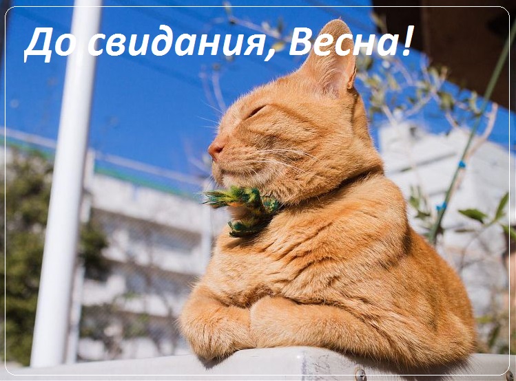 с последним днем весны картинки прикольные. Смотреть фото с последним днем весны картинки прикольные. Смотреть картинку с последним днем весны картинки прикольные. Картинка про с последним днем весны картинки прикольные. Фото с последним днем весны картинки прикольные