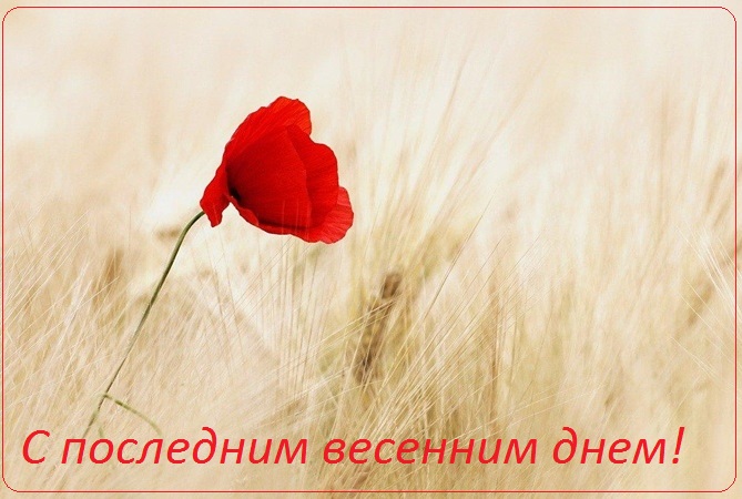 с последним днем весны картинки прикольные. Смотреть фото с последним днем весны картинки прикольные. Смотреть картинку с последним днем весны картинки прикольные. Картинка про с последним днем весны картинки прикольные. Фото с последним днем весны картинки прикольные