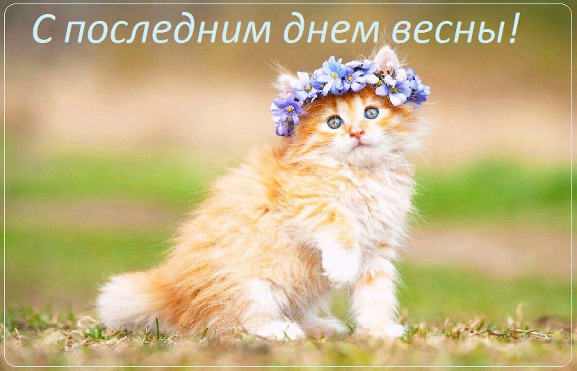 с последним днем весны картинки прикольные. Смотреть фото с последним днем весны картинки прикольные. Смотреть картинку с последним днем весны картинки прикольные. Картинка про с последним днем весны картинки прикольные. Фото с последним днем весны картинки прикольные