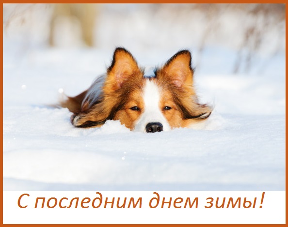 анимация с последним днем зимы. Смотреть фото анимация с последним днем зимы. Смотреть картинку анимация с последним днем зимы. Картинка про анимация с последним днем зимы. Фото анимация с последним днем зимы