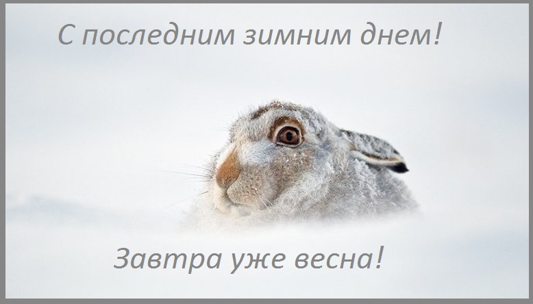 анимация с последним днем зимы. Смотреть фото анимация с последним днем зимы. Смотреть картинку анимация с последним днем зимы. Картинка про анимация с последним днем зимы. Фото анимация с последним днем зимы