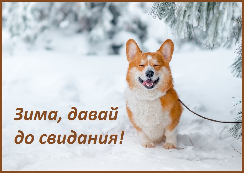 анимация с последним днем зимы. Смотреть фото анимация с последним днем зимы. Смотреть картинку анимация с последним днем зимы. Картинка про анимация с последним днем зимы. Фото анимация с последним днем зимы
