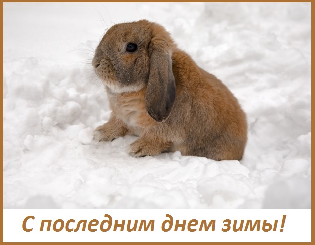 анимация с последним днем зимы. Смотреть фото анимация с последним днем зимы. Смотреть картинку анимация с последним днем зимы. Картинка про анимация с последним днем зимы. Фото анимация с последним днем зимы