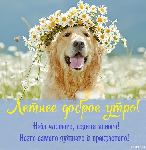 летнее утро завтрак фото. Смотреть фото летнее утро завтрак фото. Смотреть картинку летнее утро завтрак фото. Картинка про летнее утро завтрак фото. Фото летнее утро завтрак фото летнее утро завтрак фото. Смотреть фото летнее утро завтрак фото. Смотреть картинку летнее утро завтрак фото. Картинка про летнее утро завтрак фото. Фото летнее утро завтрак фото