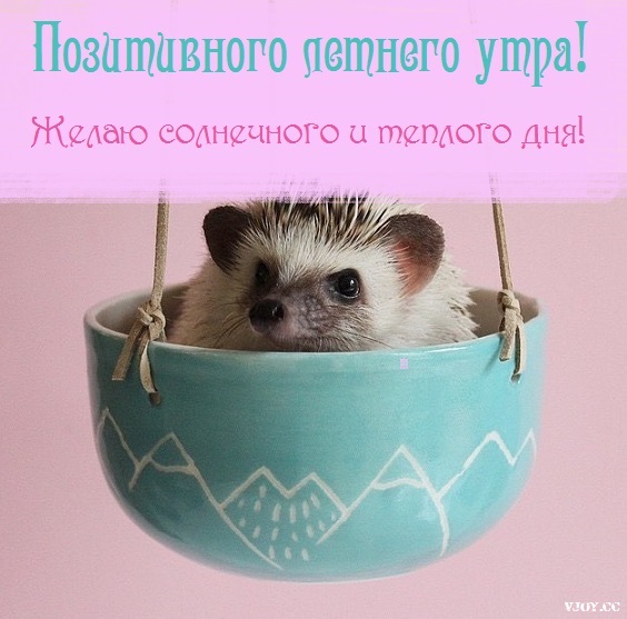 летнее утро завтрак фото. Смотреть фото летнее утро завтрак фото. Смотреть картинку летнее утро завтрак фото. Картинка про летнее утро завтрак фото. Фото летнее утро завтрак фото летнее утро завтрак фото. Смотреть фото летнее утро завтрак фото. Смотреть картинку летнее утро завтрак фото. Картинка про летнее утро завтрак фото. Фото летнее утро завтрак фото