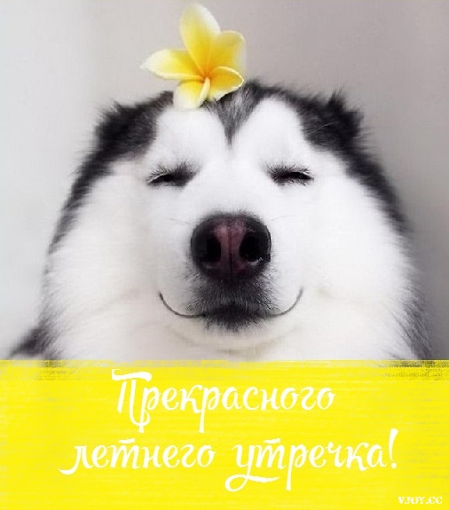 летнее утро завтрак фото. Смотреть фото летнее утро завтрак фото. Смотреть картинку летнее утро завтрак фото. Картинка про летнее утро завтрак фото. Фото летнее утро завтрак фото летнее утро завтрак фото. Смотреть фото летнее утро завтрак фото. Смотреть картинку летнее утро завтрак фото. Картинка про летнее утро завтрак фото. Фото летнее утро завтрак фото