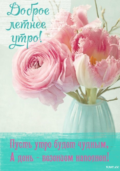 летнее утро завтрак фото. Смотреть фото летнее утро завтрак фото. Смотреть картинку летнее утро завтрак фото. Картинка про летнее утро завтрак фото. Фото летнее утро завтрак фото летнее утро завтрак фото. Смотреть фото летнее утро завтрак фото. Смотреть картинку летнее утро завтрак фото. Картинка про летнее утро завтрак фото. Фото летнее утро завтрак фото