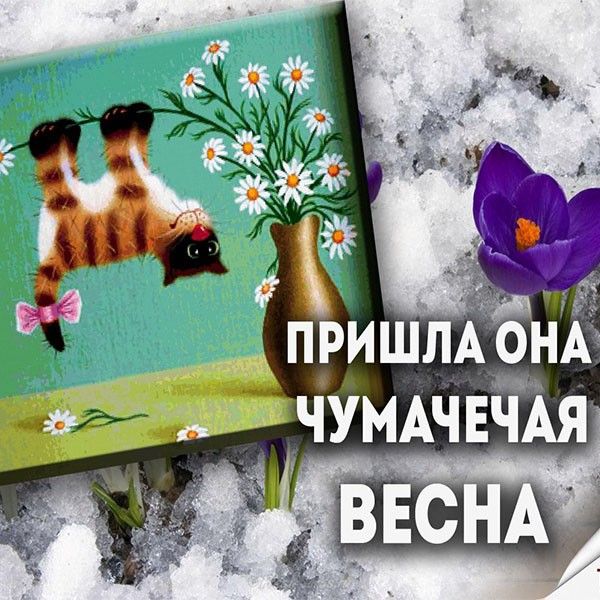 с первым весенним днем красивые картинки. Смотреть фото с первым весенним днем красивые картинки. Смотреть картинку с первым весенним днем красивые картинки. Картинка про с первым весенним днем красивые картинки. Фото с первым весенним днем красивые картинки