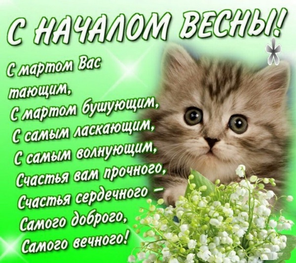 с первым весенним днем красивые картинки. Смотреть фото с первым весенним днем красивые картинки. Смотреть картинку с первым весенним днем красивые картинки. Картинка про с первым весенним днем красивые картинки. Фото с первым весенним днем красивые картинки