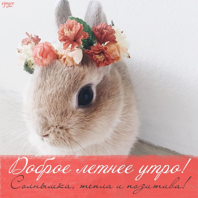 летнее утро завтрак фото. Смотреть фото летнее утро завтрак фото. Смотреть картинку летнее утро завтрак фото. Картинка про летнее утро завтрак фото. Фото летнее утро завтрак фото летнее утро завтрак фото. Смотреть фото летнее утро завтрак фото. Смотреть картинку летнее утро завтрак фото. Картинка про летнее утро завтрак фото. Фото летнее утро завтрак фото