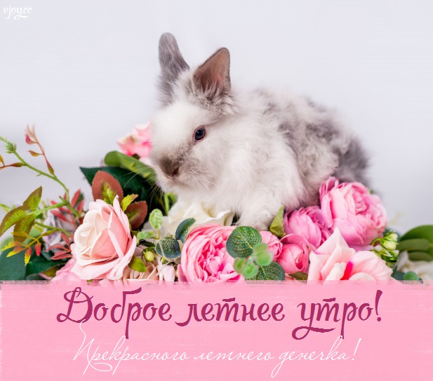 летнее утро завтрак фото. Смотреть фото летнее утро завтрак фото. Смотреть картинку летнее утро завтрак фото. Картинка про летнее утро завтрак фото. Фото летнее утро завтрак фото летнее утро завтрак фото. Смотреть фото летнее утро завтрак фото. Смотреть картинку летнее утро завтрак фото. Картинка про летнее утро завтрак фото. Фото летнее утро завтрак фото