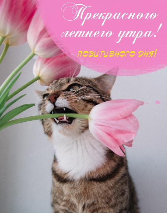 летнее утро завтрак фото. Смотреть фото летнее утро завтрак фото. Смотреть картинку летнее утро завтрак фото. Картинка про летнее утро завтрак фото. Фото летнее утро завтрак фото летнее утро завтрак фото. Смотреть фото летнее утро завтрак фото. Смотреть картинку летнее утро завтрак фото. Картинка про летнее утро завтрак фото. Фото летнее утро завтрак фото