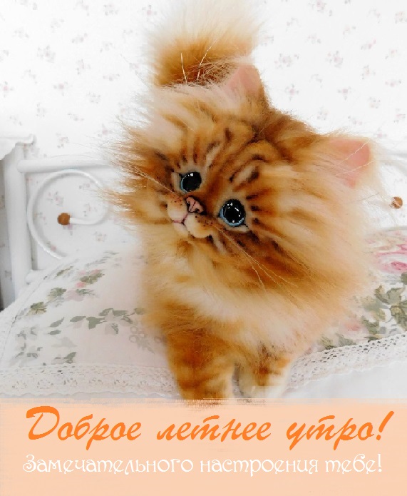 летнее утро завтрак фото. Смотреть фото летнее утро завтрак фото. Смотреть картинку летнее утро завтрак фото. Картинка про летнее утро завтрак фото. Фото летнее утро завтрак фото летнее утро завтрак фото. Смотреть фото летнее утро завтрак фото. Смотреть картинку летнее утро завтрак фото. Картинка про летнее утро завтрак фото. Фото летнее утро завтрак фото