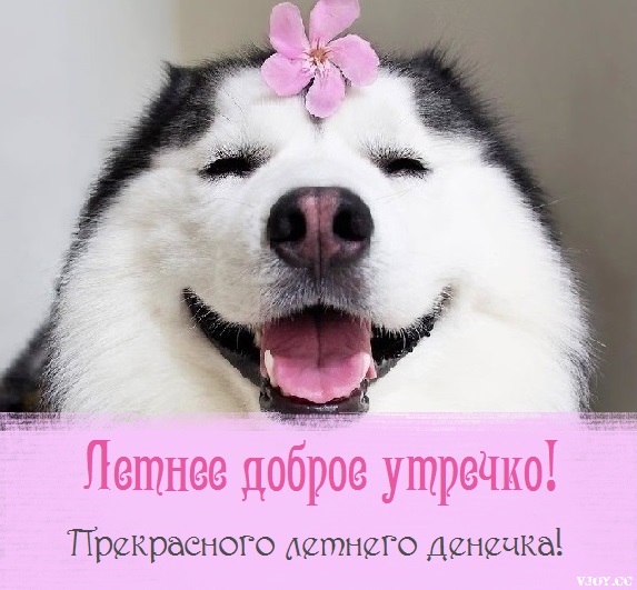 летнее утро завтрак фото. Смотреть фото летнее утро завтрак фото. Смотреть картинку летнее утро завтрак фото. Картинка про летнее утро завтрак фото. Фото летнее утро завтрак фото летнее утро завтрак фото. Смотреть фото летнее утро завтрак фото. Смотреть картинку летнее утро завтрак фото. Картинка про летнее утро завтрак фото. Фото летнее утро завтрак фото