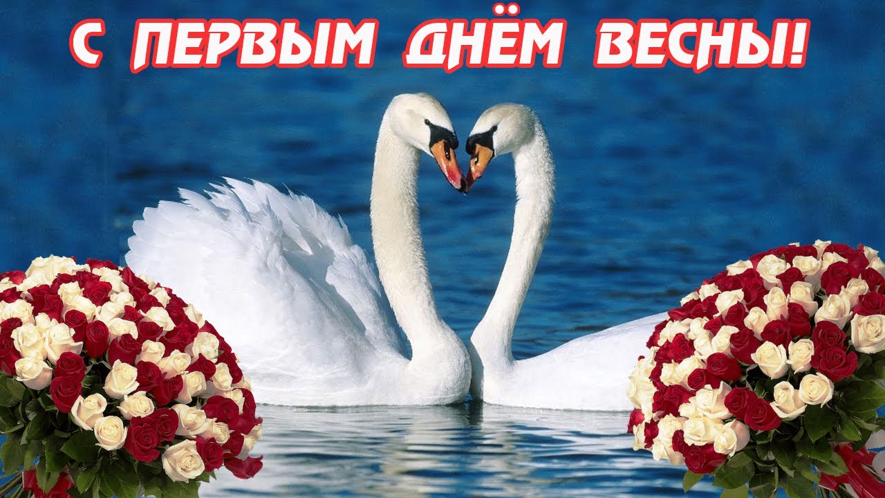 с первым весенним днем красивые картинки. Смотреть фото с первым весенним днем красивые картинки. Смотреть картинку с первым весенним днем красивые картинки. Картинка про с первым весенним днем красивые картинки. Фото с первым весенним днем красивые картинки
