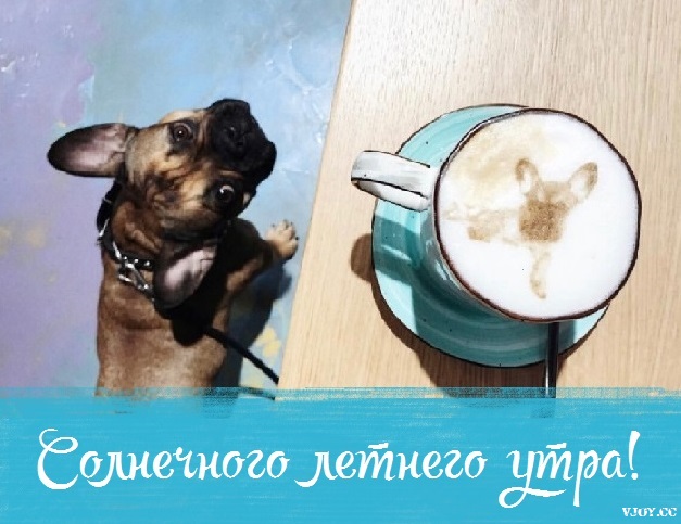 летнее утро завтрак фото. Смотреть фото летнее утро завтрак фото. Смотреть картинку летнее утро завтрак фото. Картинка про летнее утро завтрак фото. Фото летнее утро завтрак фото летнее утро завтрак фото. Смотреть фото летнее утро завтрак фото. Смотреть картинку летнее утро завтрак фото. Картинка про летнее утро завтрак фото. Фото летнее утро завтрак фото