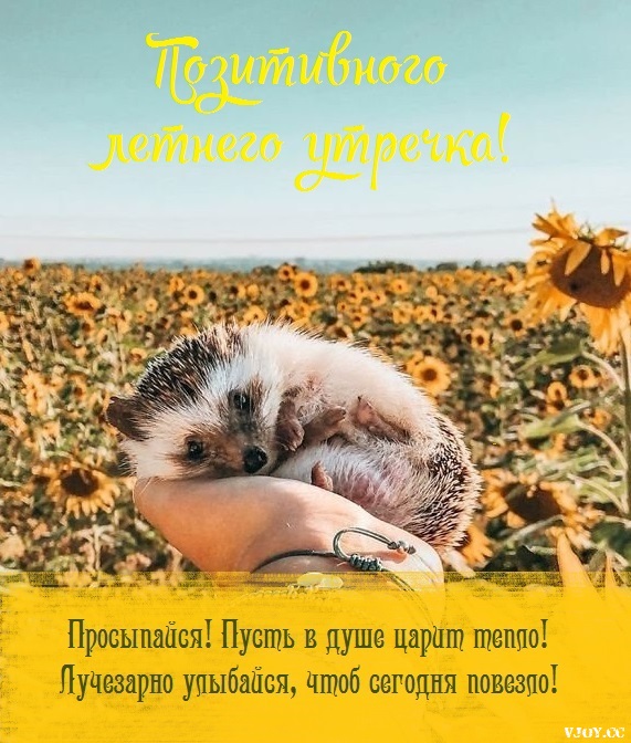 летнее утро завтрак фото. Смотреть фото летнее утро завтрак фото. Смотреть картинку летнее утро завтрак фото. Картинка про летнее утро завтрак фото. Фото летнее утро завтрак фото летнее утро завтрак фото. Смотреть фото летнее утро завтрак фото. Смотреть картинку летнее утро завтрак фото. Картинка про летнее утро завтрак фото. Фото летнее утро завтрак фото