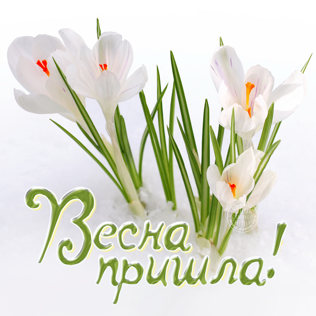 с первым весенним днем красивые картинки. Смотреть фото с первым весенним днем красивые картинки. Смотреть картинку с первым весенним днем красивые картинки. Картинка про с первым весенним днем красивые картинки. Фото с первым весенним днем красивые картинки