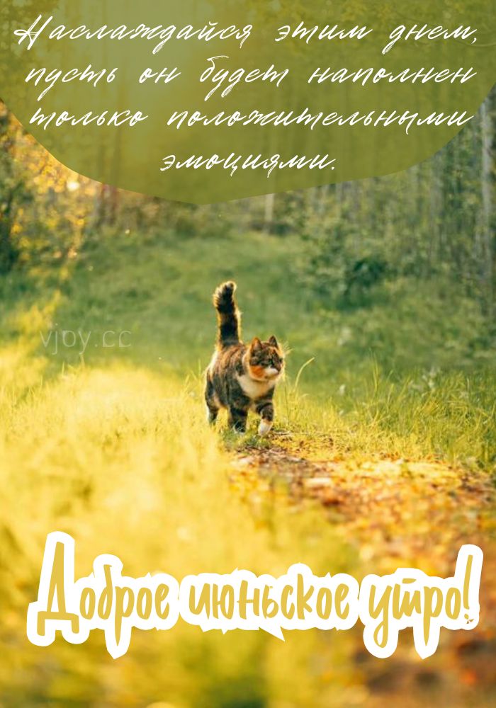 Чудесного летнего дня! 
