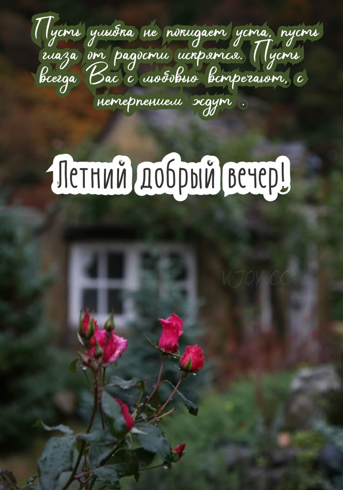 Картинка с видом на добрый летний вечер 