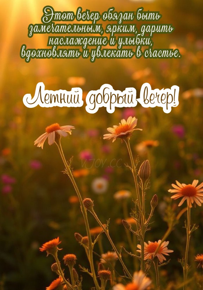 Летний фон с мягким закатным сиянием 