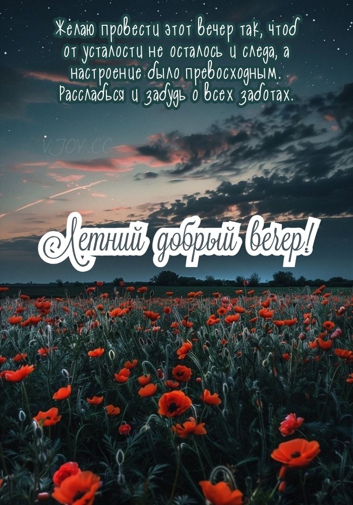 Картинка с природой в лучах заката 