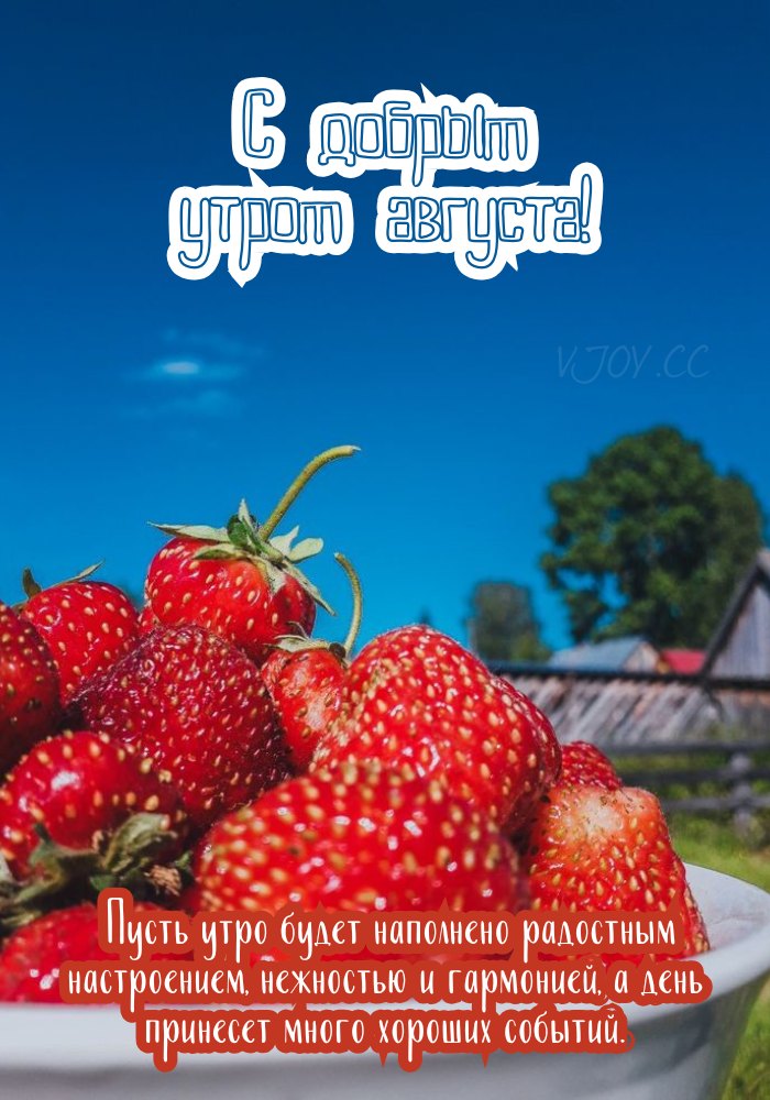 Прекрасного августовского утра! 