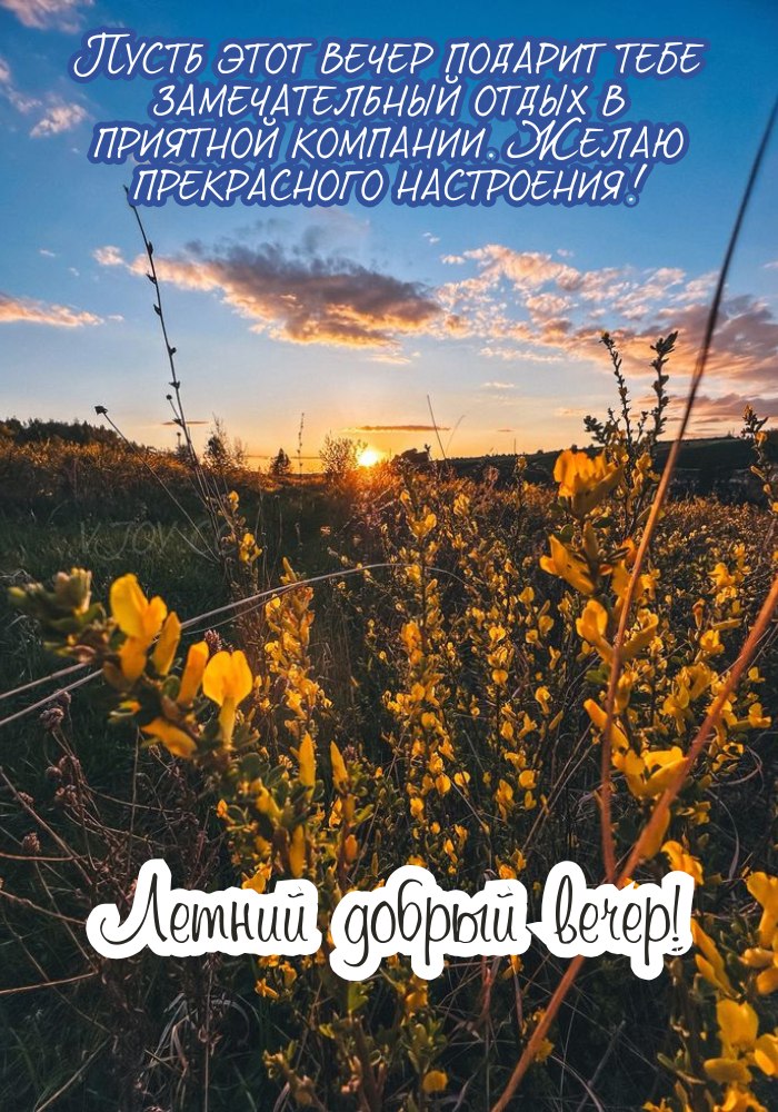 Иллюстрация доброго летнего вечера с деревьями 