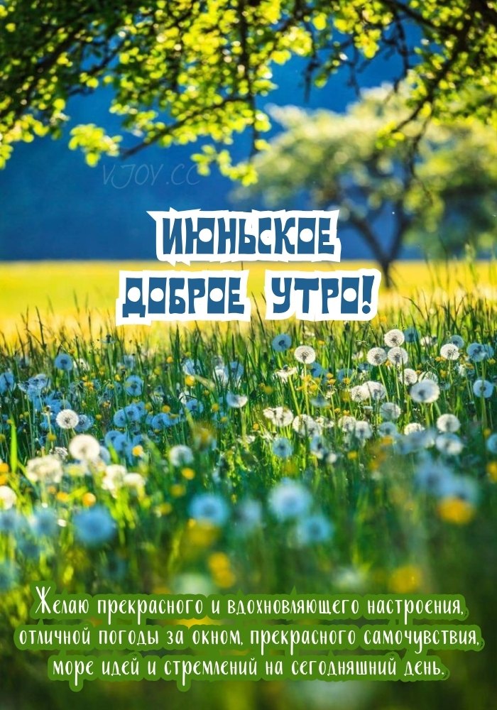 Солнечного июньского утра! 