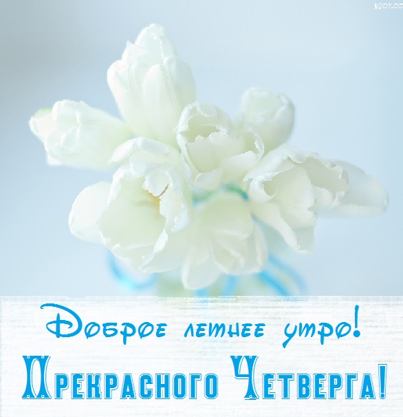 с добрым летним днем четверга. Смотреть фото с добрым летним днем четверга. Смотреть картинку с добрым летним днем четверга. Картинка про с добрым летним днем четверга. Фото с добрым летним днем четверга