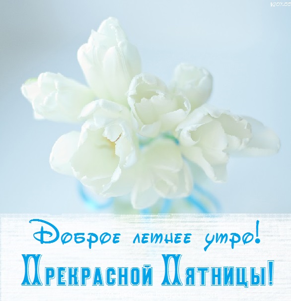 открытка с добрым утром хорошего дня летняя пятница. Смотреть фото открытка с добрым утром хорошего дня летняя пятница. Смотреть картинку открытка с добрым утром хорошего дня летняя пятница. Картинка про открытка с добрым утром хорошего дня летняя пятница. Фото открытка с добрым утром хорошего дня летняя пятница