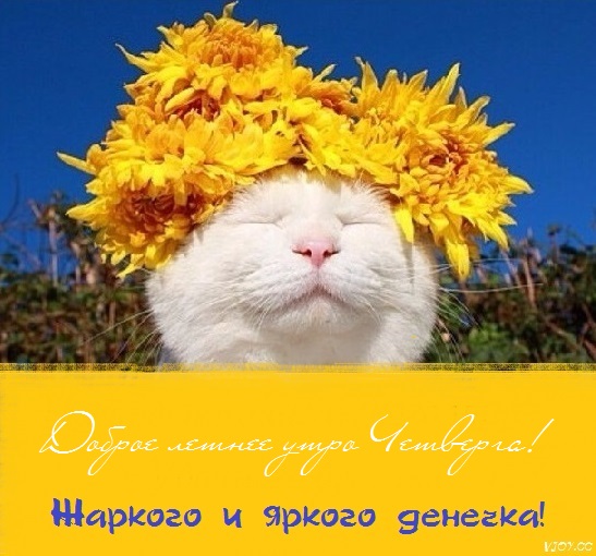 с добрым летним днем четверга. Смотреть фото с добрым летним днем четверга. Смотреть картинку с добрым летним днем четверга. Картинка про с добрым летним днем четверга. Фото с добрым летним днем четверга