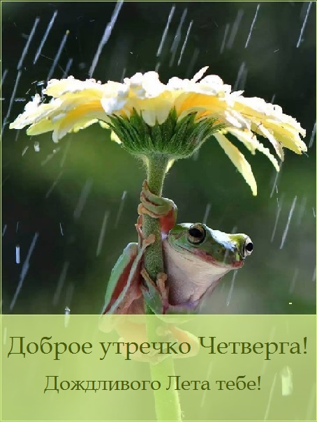 с добрым летним днем четверга. Смотреть фото с добрым летним днем четверга. Смотреть картинку с добрым летним днем четверга. Картинка про с добрым летним днем четверга. Фото с добрым летним днем четверга