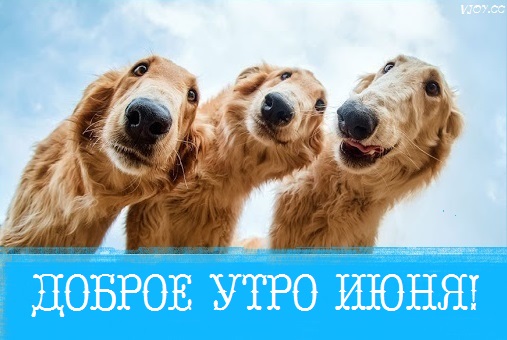 с добрым июньским утром и хорошим днем. Смотреть фото с добрым июньским утром и хорошим днем. Смотреть картинку с добрым июньским утром и хорошим днем. Картинка про с добрым июньским утром и хорошим днем. Фото с добрым июньским утром и хорошим днем